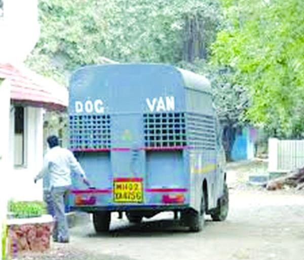 To control dogs, 'Dog van' in every zone of Nagpur | कुत्र्यांवर नियंत्रणासाठी नागपुरात प्रत्येक झोनमध्ये ‘डॉग व्हॅन’ To control dogs, 'Dog van' in every zone of Nagpur | कुत्र्यांवर नियंत्रणासाठी नागपुरात प्रत्येक झोनमध्ये ‘डॉग व्हॅन’