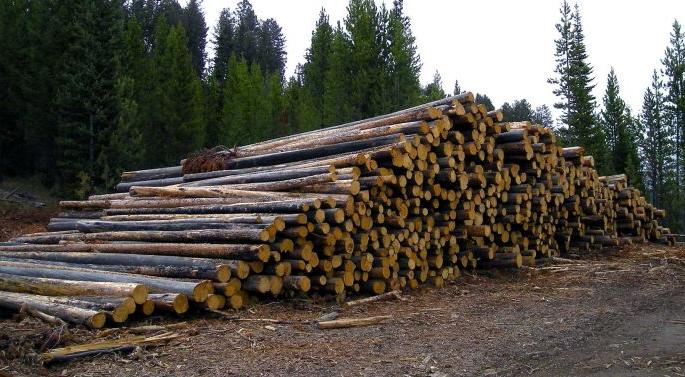 Dispose of property in the jurisdiction also can be disposed of | न्यायप्रविष्ट जप्त मालमत्तेचीही लावता येणार विल्हेवाट Dispose of property in the jurisdiction also can be disposed of | न्यायप्रविष्ट जप्त मालमत्तेचीही लावता येणार विल्हेवाट