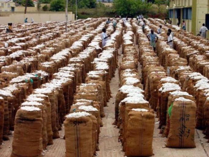 Advantage of cotton yarn traders; Shot of farmers | कापूस दरवाढीचा व्यापाऱ्यांनाच लाभ; शेतकऱ्यांना फटका Advantage of cotton yarn traders; Shot of farmers | कापूस दरवाढीचा व्यापाऱ्यांनाच लाभ; शेतकऱ्यांना फटका