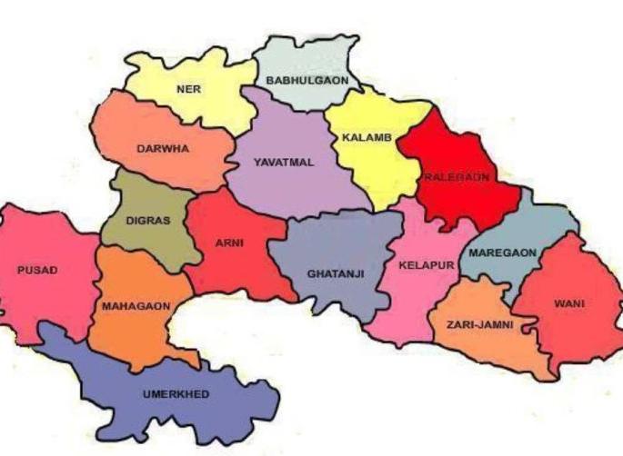 Self-preparation for six Nagar Panchayat elections in Yavatmal district | यवतमाळ जिल्ह्यात सहा नगरपंचायत निवडणुकीसाठी स्वबळाची तयारी