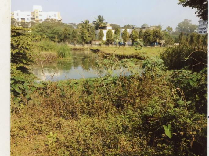 Mujawawa in the pit of Sarnaiq colony: corporation dies of hunger strike | सरनाईक वसाहतीतील खड्डा मुजवावा : नगरसेविकेचा उपोषणाचा इशारा Mujawawa in the pit of Sarnaiq colony: corporation dies of hunger strike | सरनाईक वसाहतीतील खड्डा मुजवावा : नगरसेविकेचा उपोषणाचा इशारा