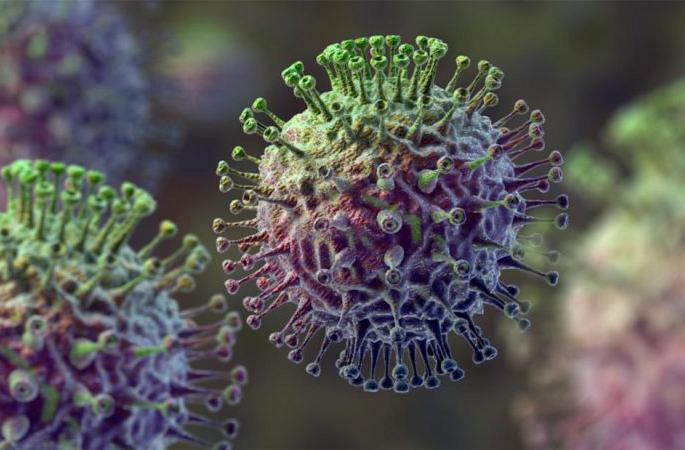 We will not go to Kovid Hospital ... refusal by positive patients in Amravati | आम्ही कोविड रुग्णालयात जाणार नाही... पॉझिटिव्ह रुग्णांनी दिला ठाम नकार We will not go to Kovid Hospital ... refusal by positive patients in Amravati | आम्ही कोविड रुग्णालयात जाणार नाही... पॉझिटिव्ह रुग्णांनी दिला ठाम नकार