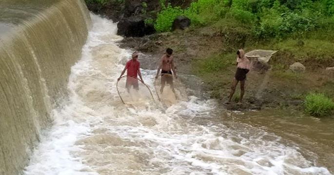 103 percent rainfall in Shirpur taluka | शिरपूर तालुक्यात १०३ टक्के पाऊस 103 percent rainfall in Shirpur taluka | शिरपूर तालुक्यात १०३ टक्के पाऊस