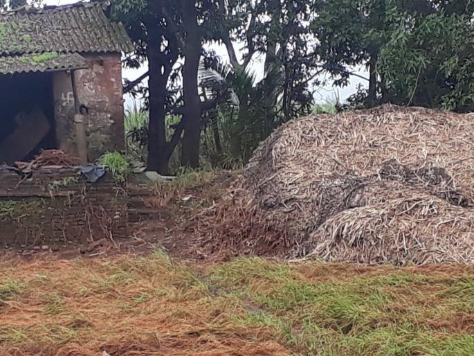 The collapse of the cavernous cottage: the cataclysm is in trouble, the caves fall | महापुराचा तडाखा :गूळ हंगाम आला अडचणीत, गुऱ्हाळघरांची पडझड The collapse of the cavernous cottage: the cataclysm is in trouble, the caves fall | महापुराचा तडाखा :गूळ हंगाम आला अडचणीत, गुऱ्हाळघरांची पडझड