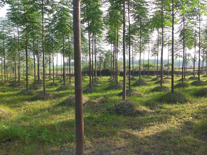 Paper canceled in half; Student angry | पेपर अर्ध्यातूनच रद्द; विद्यार्थी संतप्त Paper canceled in half; Student angry | पेपर अर्ध्यातूनच रद्द; विद्यार्थी संतप्त