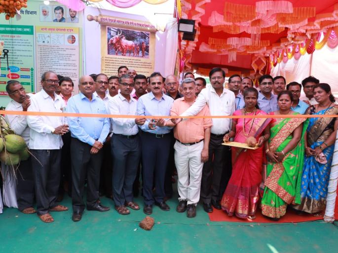 Spontaneous response to the exhibition of the Industry Department at Anganwadi | आंगणेवाडी येथील उद्योग विभागाच्या प्रदर्शनास उत्स्फुर्त प्रतिसाद