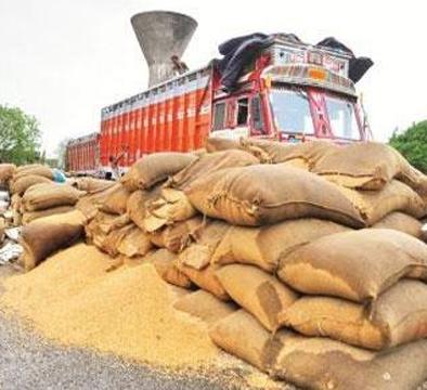 Nafed purchase center closed in Beed; Now where to buy tur? | बीडमध्ये नाफेडचे खरेदी केंद्र बंद; आता तूर विकायची कोठे ? Nafed purchase center closed in Beed; Now where to buy tur? | बीडमध्ये नाफेडचे खरेदी केंद्र बंद; आता तूर विकायची कोठे ?