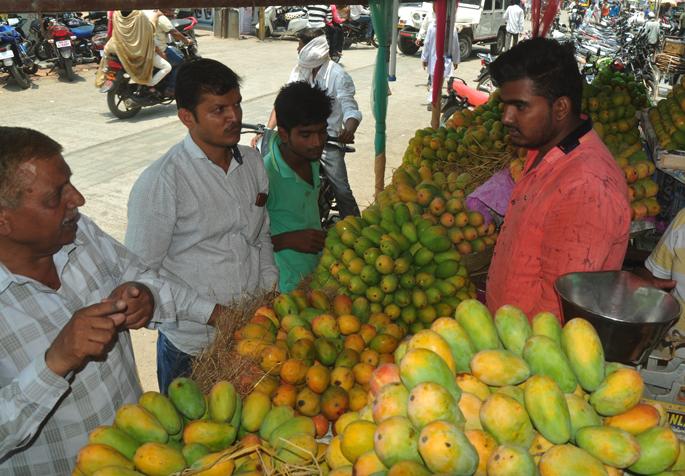 Ambedi Khanna is very good at Beed | बीडमध्ये आंब्याने खाल्ला चांगलाच भाव