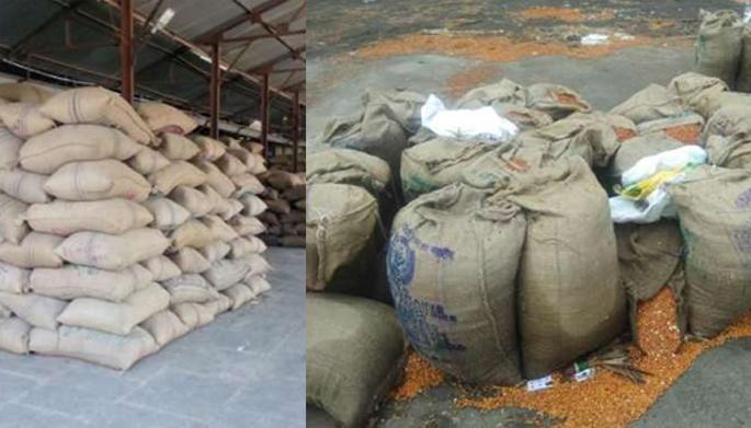 In Beed district, 23 thousand 553 farmers are eligible for subsidy | बीड जिल्ह्यात २३ हजार ५५३ शेतकरी अनुदानास पात्र