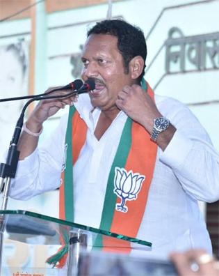 If BJP develops, NCP has to argue | भाजपने विकास केला तर राष्ट्रवादीने भांडणे लावली If BJP develops, NCP has to argue | भाजपने विकास केला तर राष्ट्रवादीने भांडणे लावली