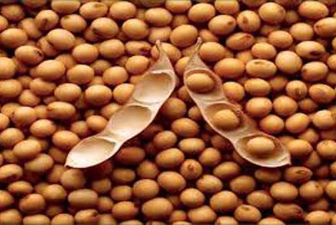 Farmers' lesson towards buying Nafed | नाफेडच्या खरेदीकडे शेतकऱ्यांची पाठ Farmers' lesson towards buying Nafed | नाफेडच्या खरेदीकडे शेतकऱ्यांची पाठ