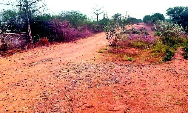 The security wall is the name of the remaining | सुरक्षा भिंत उरली नावापुरती