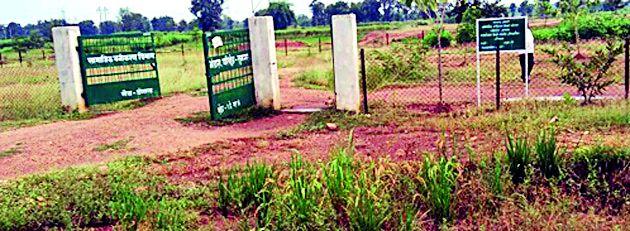 Finally the forest officials suspended | अखेर वनपरिक्षेत्राधिकारी निलंबित