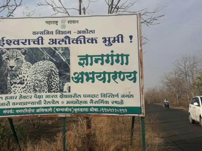 Movement for flyover from Gyanganga Wildlife Sanctuary | ज्ञानगंगा अभयारण्यावरून उड्डाणपूल उभारण्याच्या हालचाली