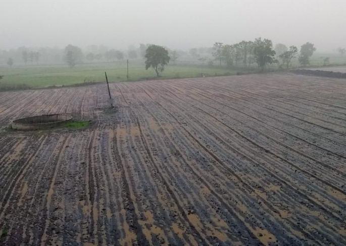 Heavy rains in Buldana taluka | बुलडाणा तालुक्यात दमदार पाऊस;  शेतकरी सुखावले Heavy rains in Buldana taluka | बुलडाणा तालुक्यात दमदार पाऊस;  शेतकरी सुखावले