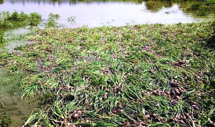 Anger among farmers over compensation | नुकसान भरपाईवर शेतकऱ्यांमध्ये नाराजी Anger among farmers over compensation | नुकसान भरपाईवर शेतकऱ्यांमध्ये नाराजी