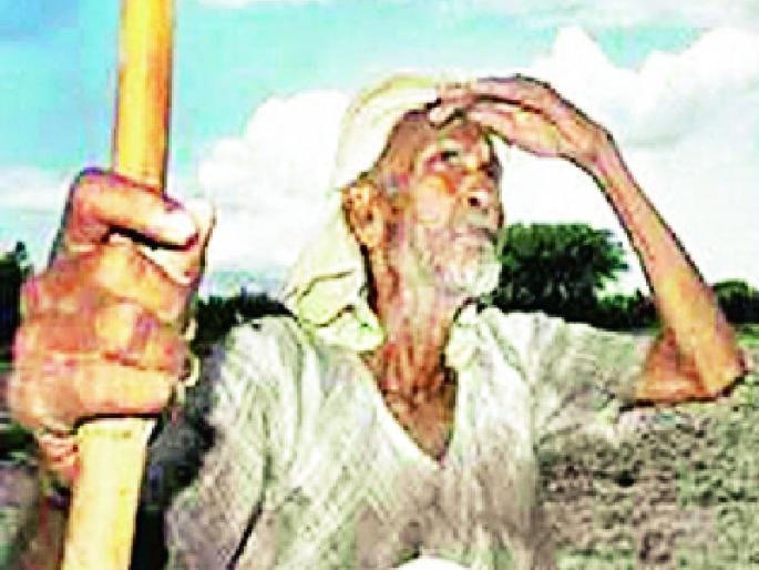 In the absence of rains, the victims are worried | पावसाअभावी बळीराजा चिंतेत In the absence of rains, the victims are worried | पावसाअभावी बळीराजा चिंतेत