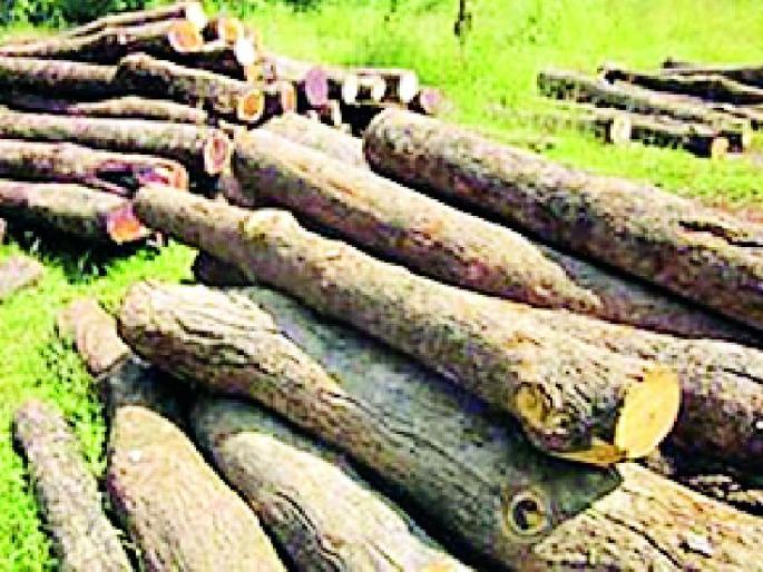 Wood donation from citizens of Bhaadravati Municipal Corporation for cremation of citizens | नागरिकांच्या अंत्यविधीसाठी भद्रावती नगरपालिकेकडून लाकडाचे दान Wood donation from citizens of Bhaadravati Municipal Corporation for cremation of citizens | नागरिकांच्या अंत्यविधीसाठी भद्रावती नगरपालिकेकडून लाकडाचे दान