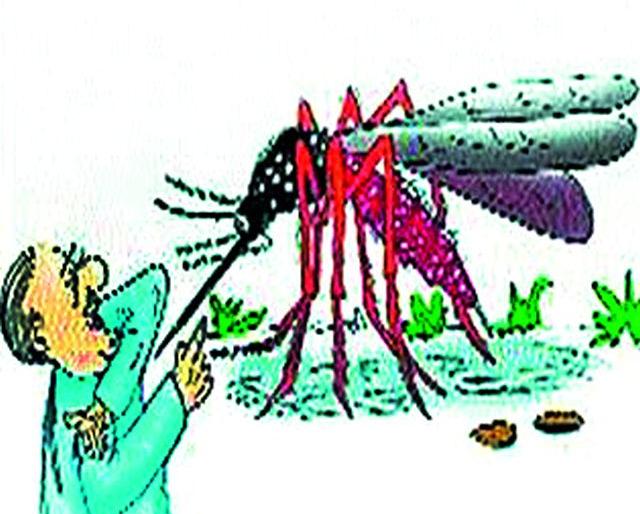 There was increased incidence of mosquitoes in Chandrapur | चंद्रपुरात डासांचा प्रादुर्भाव वाढला There was increased incidence of mosquitoes in Chandrapur | चंद्रपुरात डासांचा प्रादुर्भाव वाढला