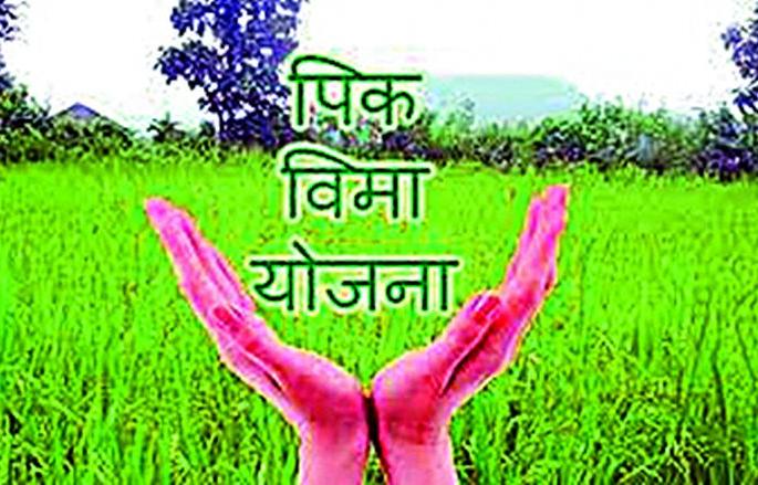 Crop insurance collected 296 crore farmers will feel only 26 crore! | पीक विमाचे जमा केले 296 कोटी शेतकऱ्यांना वाटणार फक्त 26 कोटी ! Crop insurance collected 296 crore farmers will feel only 26 crore! | पीक विमाचे जमा केले 296 कोटी शेतकऱ्यांना वाटणार फक्त 26 कोटी !