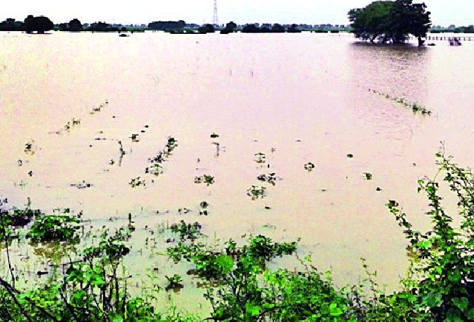 Due to flooding hundreds of hectare crops on the crushing path | पुरामुळे शेकडो हेक्टरवरील पिके कुजण्याच्या मार्गावर