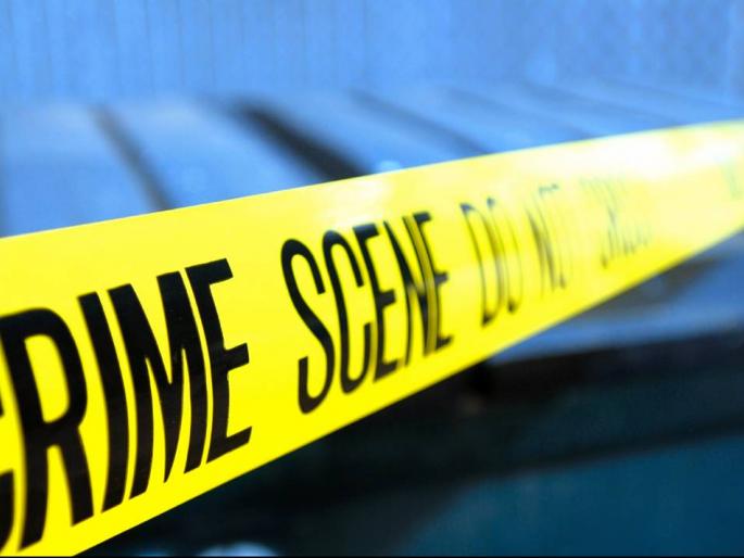 Save the cows by chasing the pickup | पिकअपचा पाठलाग करून गोवंशांना जीवदान Save the cows by chasing the pickup | पिकअपचा पाठलाग करून गोवंशांना जीवदान