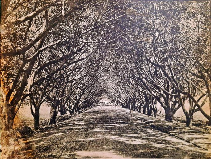 Can you believe it? ... That was the satara road before 40 years | विश्वास बसेल का ?... असा होता ४० वर्षांपूर्वीचा सातारा रस्ता Can you believe it? ... That was the satara road before 40 years | विश्वास बसेल का ?... असा होता ४० वर्षांपूर्वीचा सातारा रस्ता