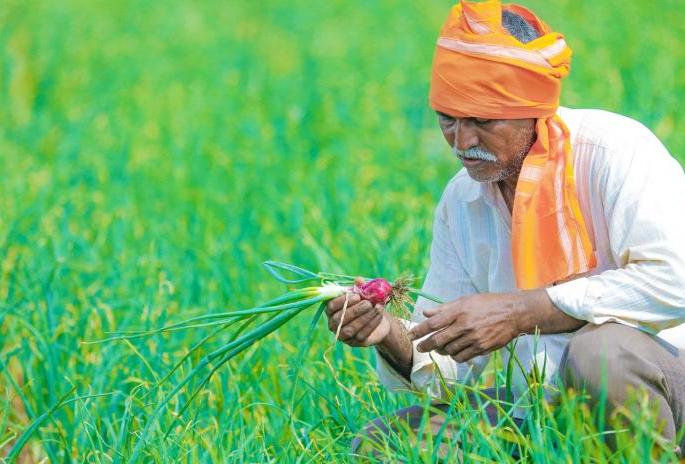 The farmers will get the goods along with the seeds | शेतकऱ्यांना बियाणांसह वस्तू मिळणार