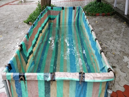 Pimpalgaon Gram Panchayat completes preparations for Ganesh immersion | गणेश विसर्जनासाठी पिंपळगाव ग्रामपंचायत तयारी पूर्ण