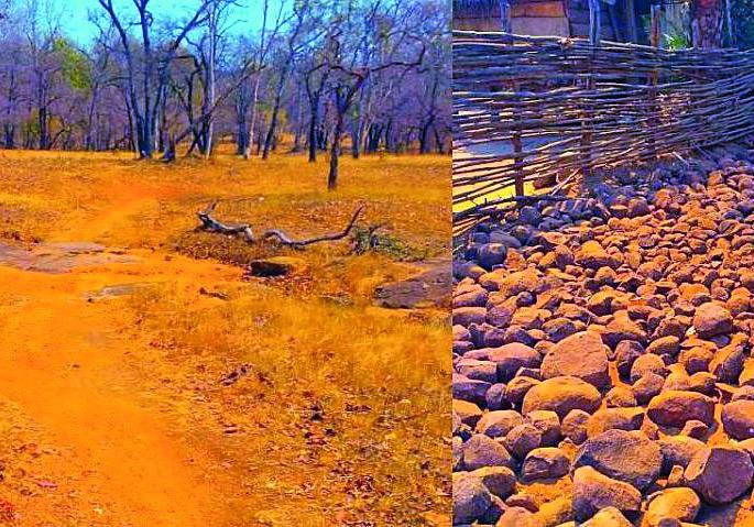 There is no road to go to Shivgata | शिवगाटाला जाण्यासाठी रस्ता नाही