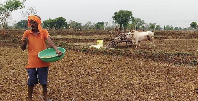 Anxiety over heavy rains; The weather forecast turned out to be false | पावसाची दडी, अनेकांनी पेरण्या आटोपल्याने चिंता; हवामानाचा अंदाज खोटा ठरला Anxiety over heavy rains; The weather forecast turned out to be false | पावसाची दडी, अनेकांनी पेरण्या आटोपल्याने चिंता; हवामानाचा अंदाज खोटा ठरला