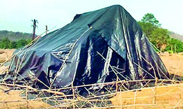 Thousands of quintals of rice open | हजारो क्विंटल धान उघड्यावर