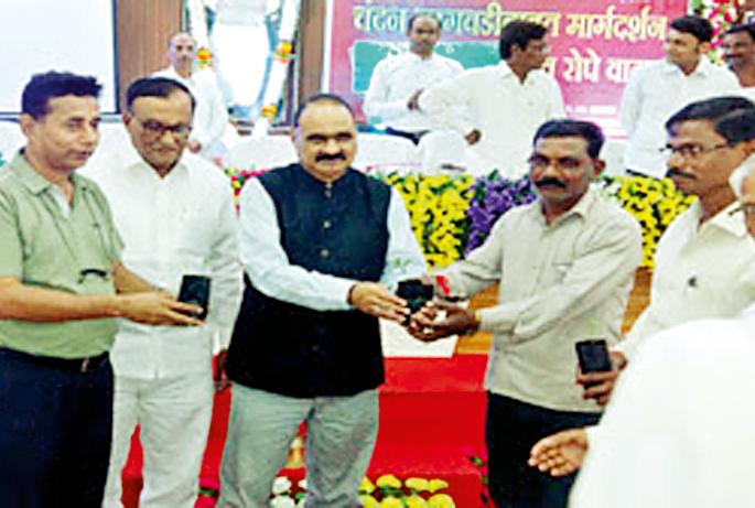 Pay attention to cash crops | नगदी पिके घेण्याकडे भर द्या