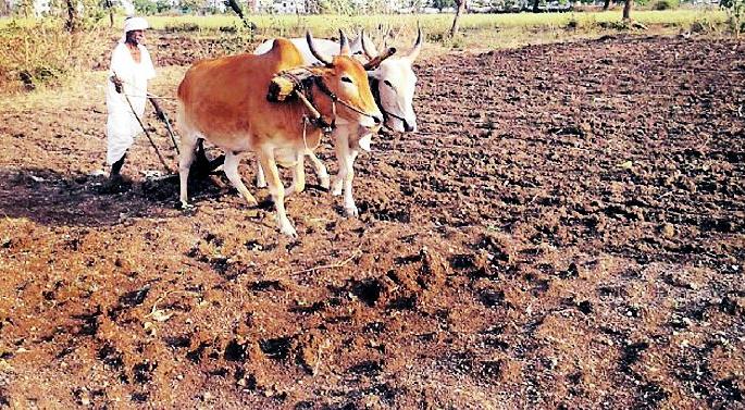 Sowing of 1 lakh 91 thousand hectares avoided | १ लाख ९१ हजार हेक्टरमधील पेरण्या खोळंबल्या