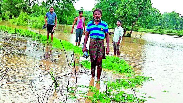 Hunger Strike on Farmers | शेतकऱ्यांवर उपासमारीची पाळी Hunger Strike on Farmers | शेतकऱ्यांवर उपासमारीची पाळी