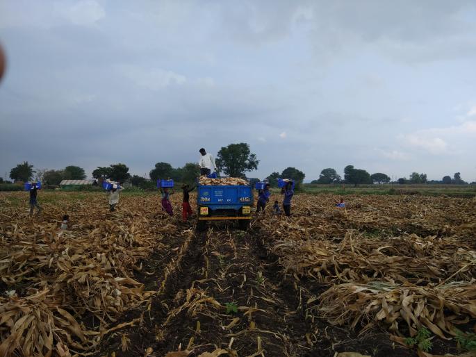Chitra made by Chitra Nakshatra | चित्रा नक्षत्राने ला केले चीतपट