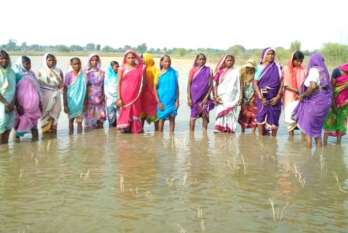 Jalansamadi Movement of Ghanagaon village dwellers | घाणेगाव ग्रामस्थांचे जलसमाधी आंदोलन