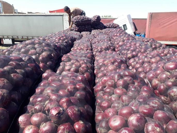 Afghan onion arrives in India | अफगाणस्तिानचा कांदा भारतात दाखल Afghan onion arrives in India | अफगाणस्तिानचा कांदा भारतात दाखल