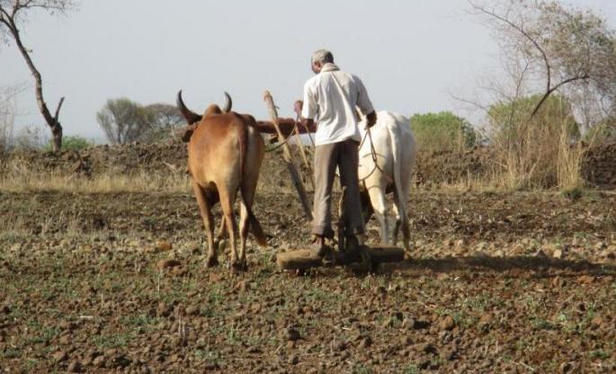 Farmers' runway for the benefit of Kisan Samman Yojana | किसान सन्मान योजनेच्या लाभासाठी शेतक-यांची धावपळ