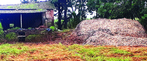 Due to heavy hitting of the floodplain, the sluggish season came | महापुराच्या जोरदार तडाख्याने गूळ हंगाम आला अडचणीत Due to heavy hitting of the floodplain, the sluggish season came | महापुराच्या जोरदार तडाख्याने गूळ हंगाम आला अडचणीत
