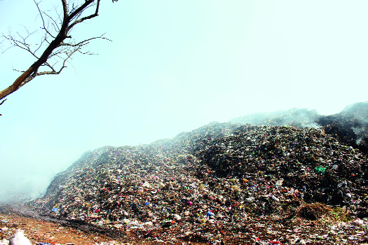 'Kasvechap' Kolhapur Municipal Corporation | ‘कासवछाप’ कोल्हापूर महापालिका