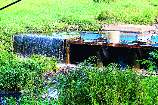 Panchaganga's 'pain' continues! | पंचगंगेचे ‘दुखणं’ बळावतंय!