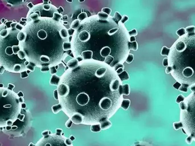 'Institutional quarantine' prevented the spread of corona | ‘इन्स्टिट्युशनल क्वारंटाइन’मुळे कोरोनाचा फैलाव टळला 'Institutional quarantine' prevented the spread of corona | ‘इन्स्टिट्युशनल क्वारंटाइन’मुळे कोरोनाचा फैलाव टळला