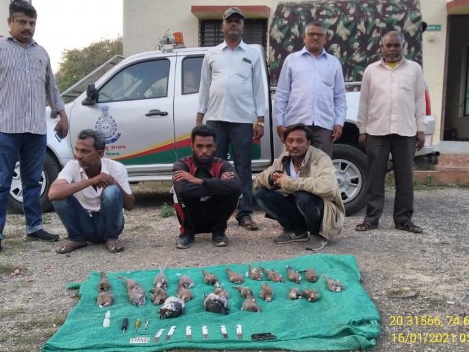Three bird hunters | पक्ष्यांची शिकार करणारे तिघे गजाआड Three bird hunters | पक्ष्यांची शिकार करणारे तिघे गजाआड