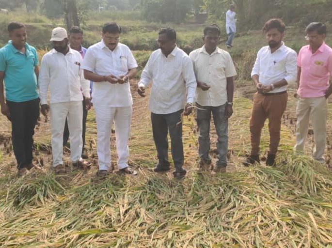 Twenty thousand rainfed farmers wait for help | 20 हजार अतिवृष्टीग्रस्त शेतकरी मदतीच्या प्रतीक्षेत