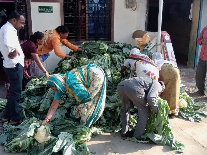 Growers worried about falling vegetable prices | भाज्यांचे दर कोसळल्याने उत्पादक हवालदिल Growers worried about falling vegetable prices | भाज्यांचे दर कोसळल्याने उत्पादक हवालदिल