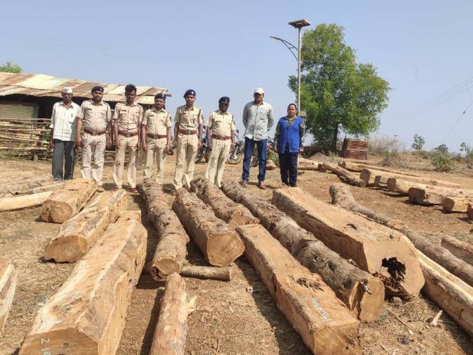 One and a half lakh teak seized | दीड लाखाचे सागवान जप्त One and a half lakh teak seized | दीड लाखाचे सागवान जप्त