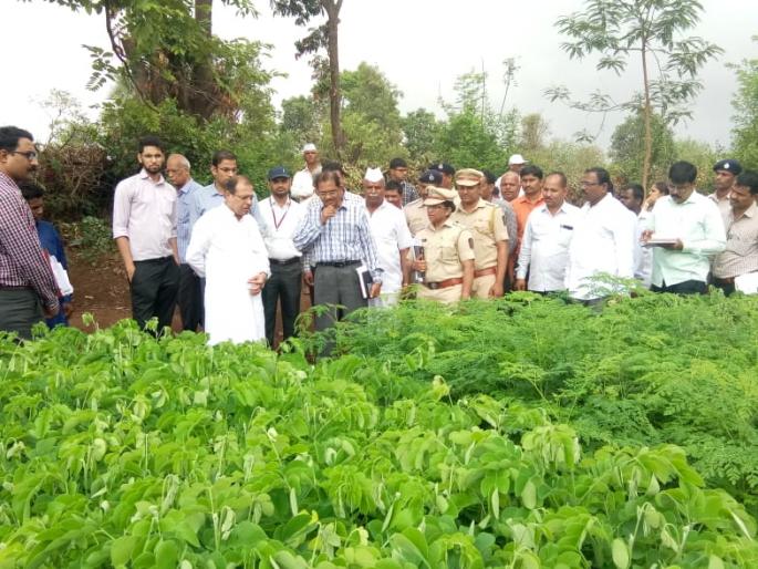 Tribal area development committee inspected in Peth taluka | आदिवासी क्षेत्रविकास समितीकडून पेठ तालुक्यात पाहणी