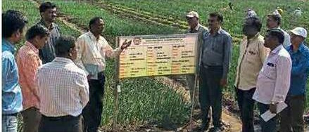 The need to absorb modern planting technology | आधुनिक लागवड तंत्रज्ञान आत्मसात करण्याची गरज The need to absorb modern planting technology | आधुनिक लागवड तंत्रज्ञान आत्मसात करण्याची गरज
