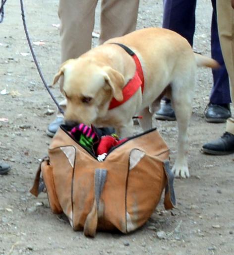 Parbhani: And sheets found in a bagless bag! | परभणी : अन् बेवारस बॅगमध्ये आढळली चादर! Parbhani: And sheets found in a bagless bag! | परभणी : अन् बेवारस बॅगमध्ये आढळली चादर!